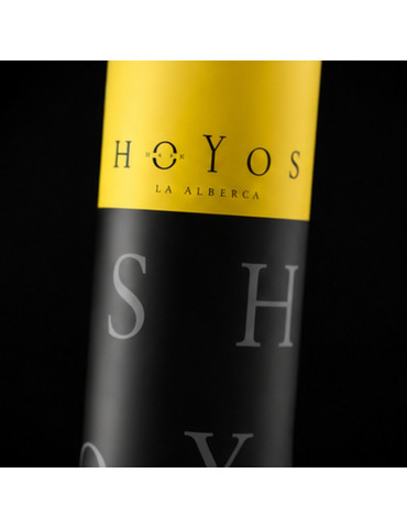 Comprar Chorizo Ibérico de Bellota con Tubo Premium de Hermanos Hoyos