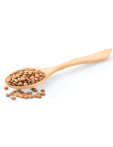 Lentil from La Armuña
