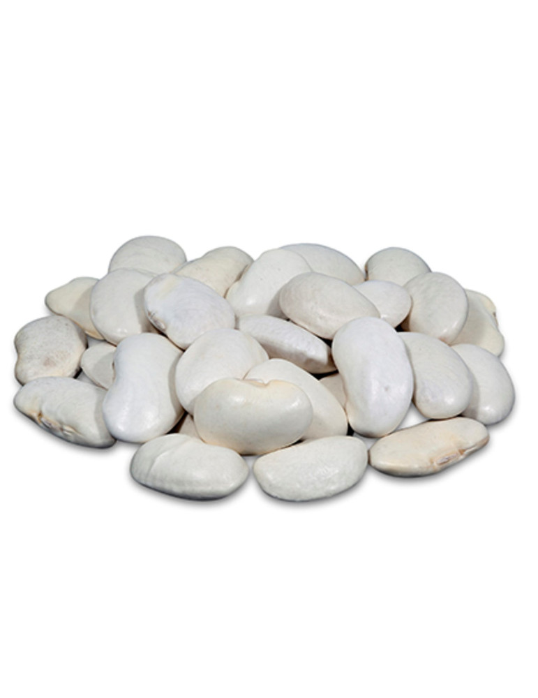 Comprar Judión de El Barco de Ávila de Hermanos Hoyos. Comprar Judión de El Barco de Ávila de Hermanos Hoyos.