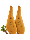 Comprar Oferta 2 Jamones de Cebo de campo ibéricos